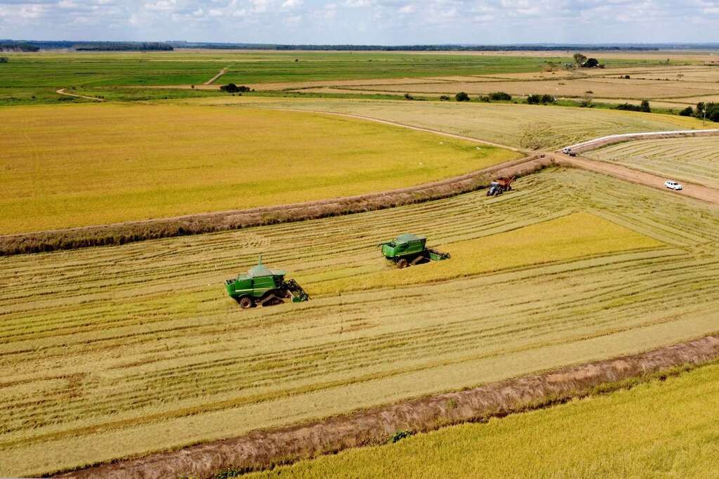 Agronegócio somou R$ 1,26 bilhão em contratações do BRDE no Paraná em 2025